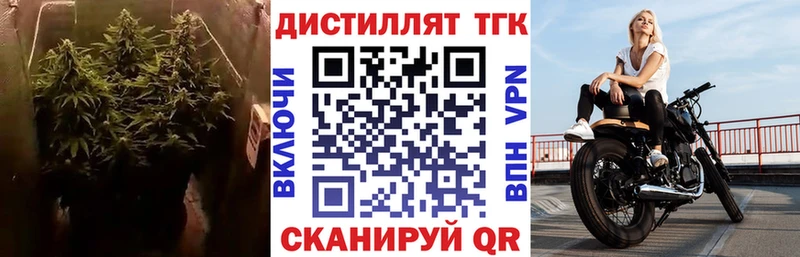 мега   Хабаровск  ТГК жижа 