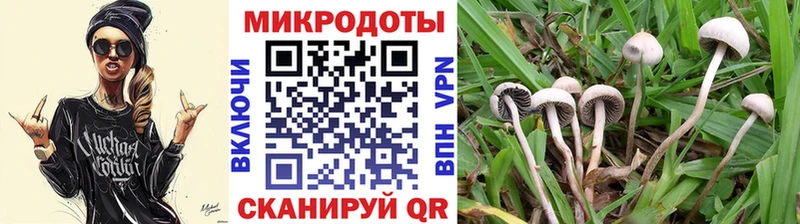 цены   Хабаровск  Псилоцибиновые грибы Psilocybine cubensis 